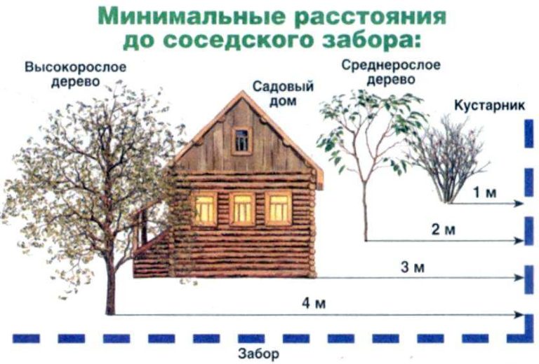 На каком расстоянии от забора можно строить дом на дачном участке 4 сотки фото