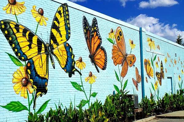 butterfly mural 1